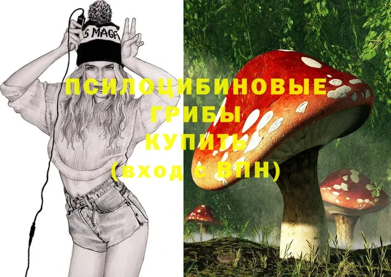 МЕГА ONION  Бикин  Галлюциногенные грибы Psilocybine cubensis 